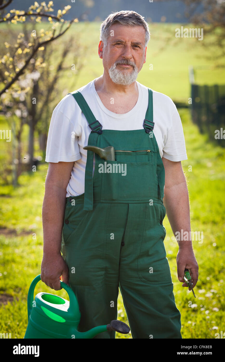 Portrait of a senior man gardening in his garden Stock Photo - Alamy