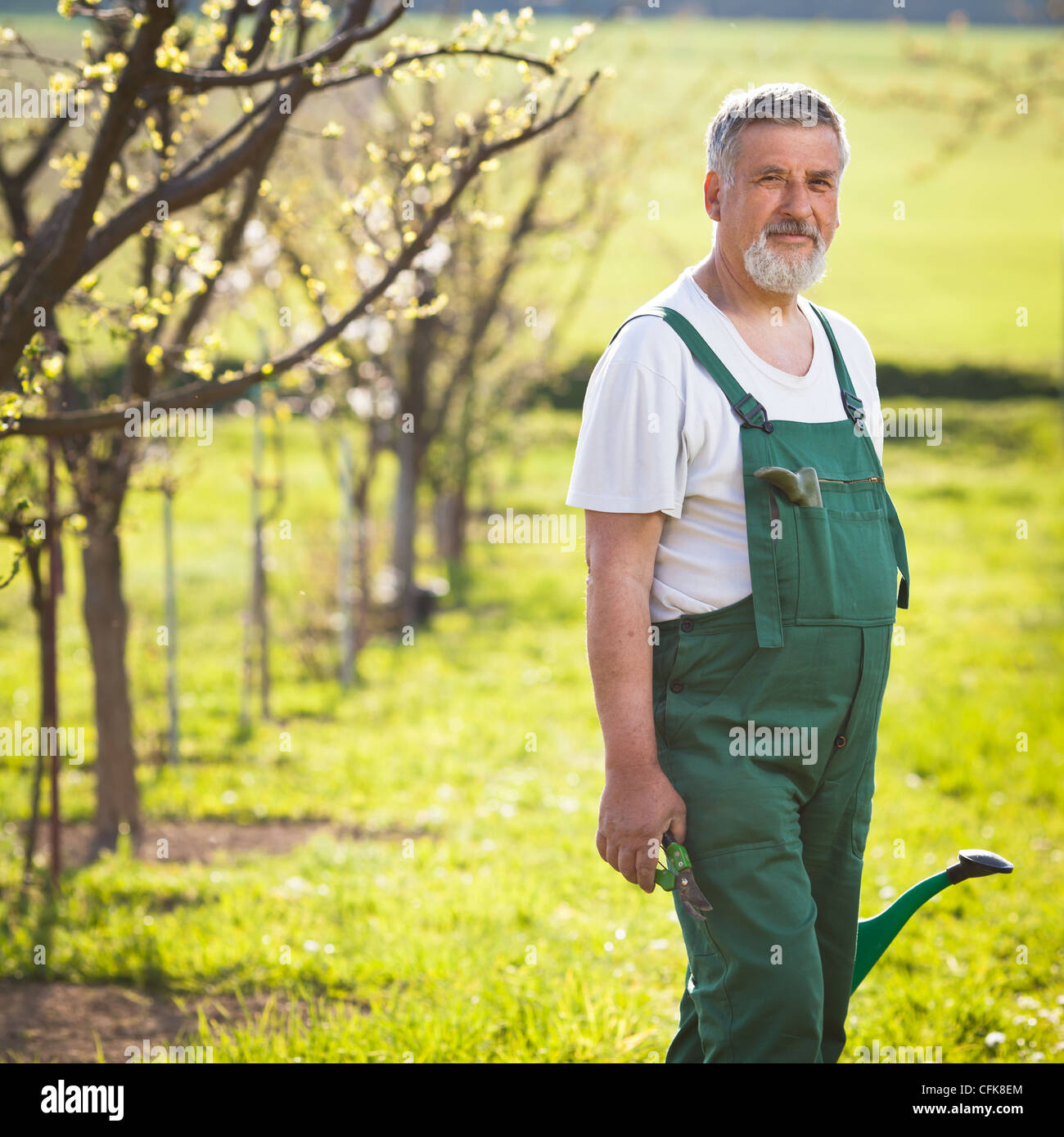 Portrait of a senior man gardening in his garden Stock Photo - Alamy