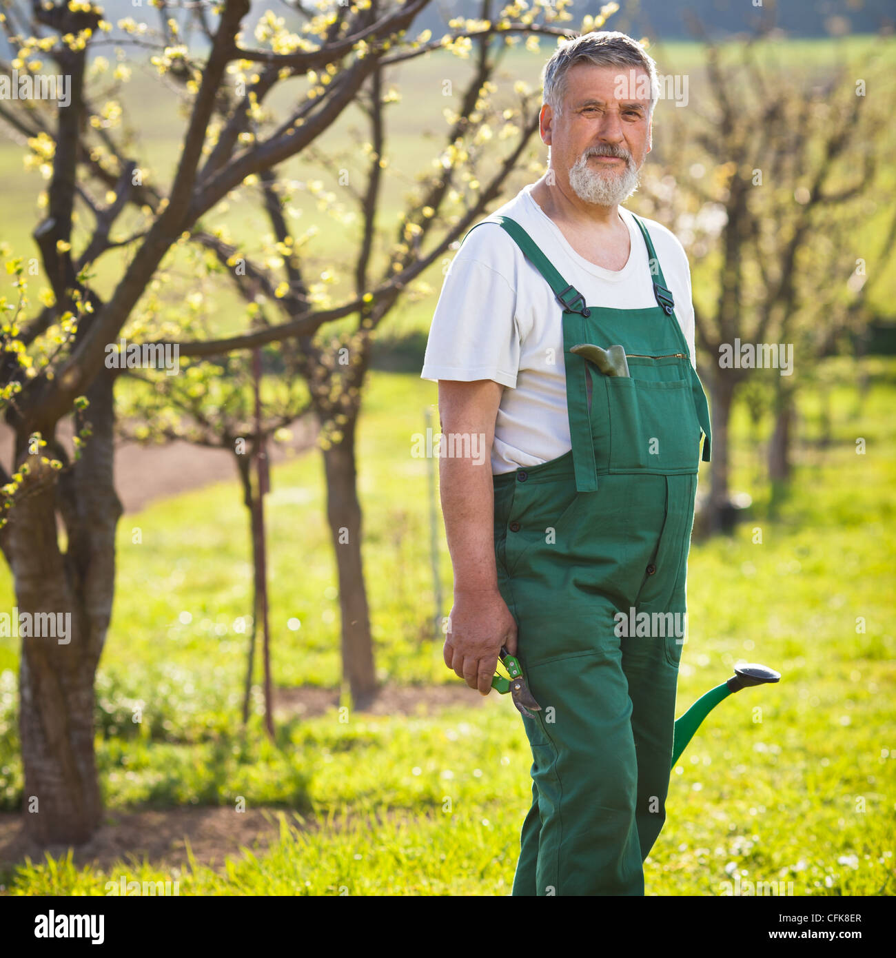 Portrait of a senior man gardening in his garden Stock Photo - Alamy