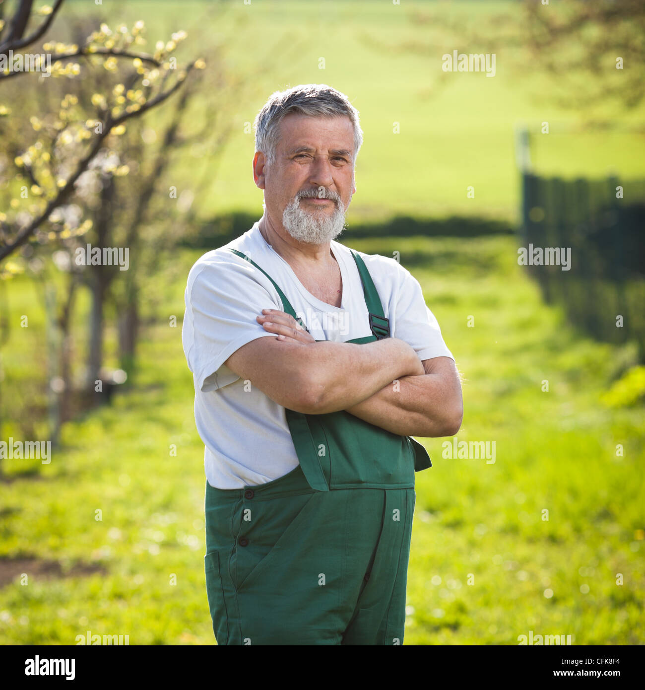 Portrait of a senior man gardening in his garden Stock Photo - Alamy
