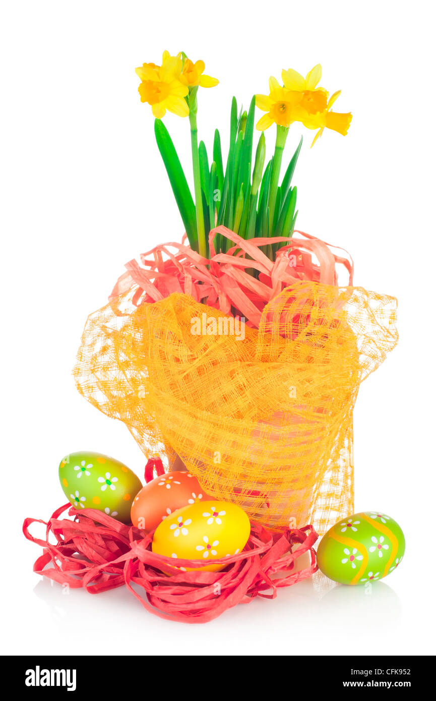Easter eggs and spring yellow narcissus (daffodil) in flower pot with bright decoration isolated on white background Stock Photo