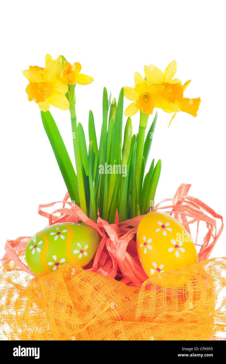Easter eggs and spring yellow narcissus (daffodil) in flower pot with bright decoration isolated on white background Stock Photo