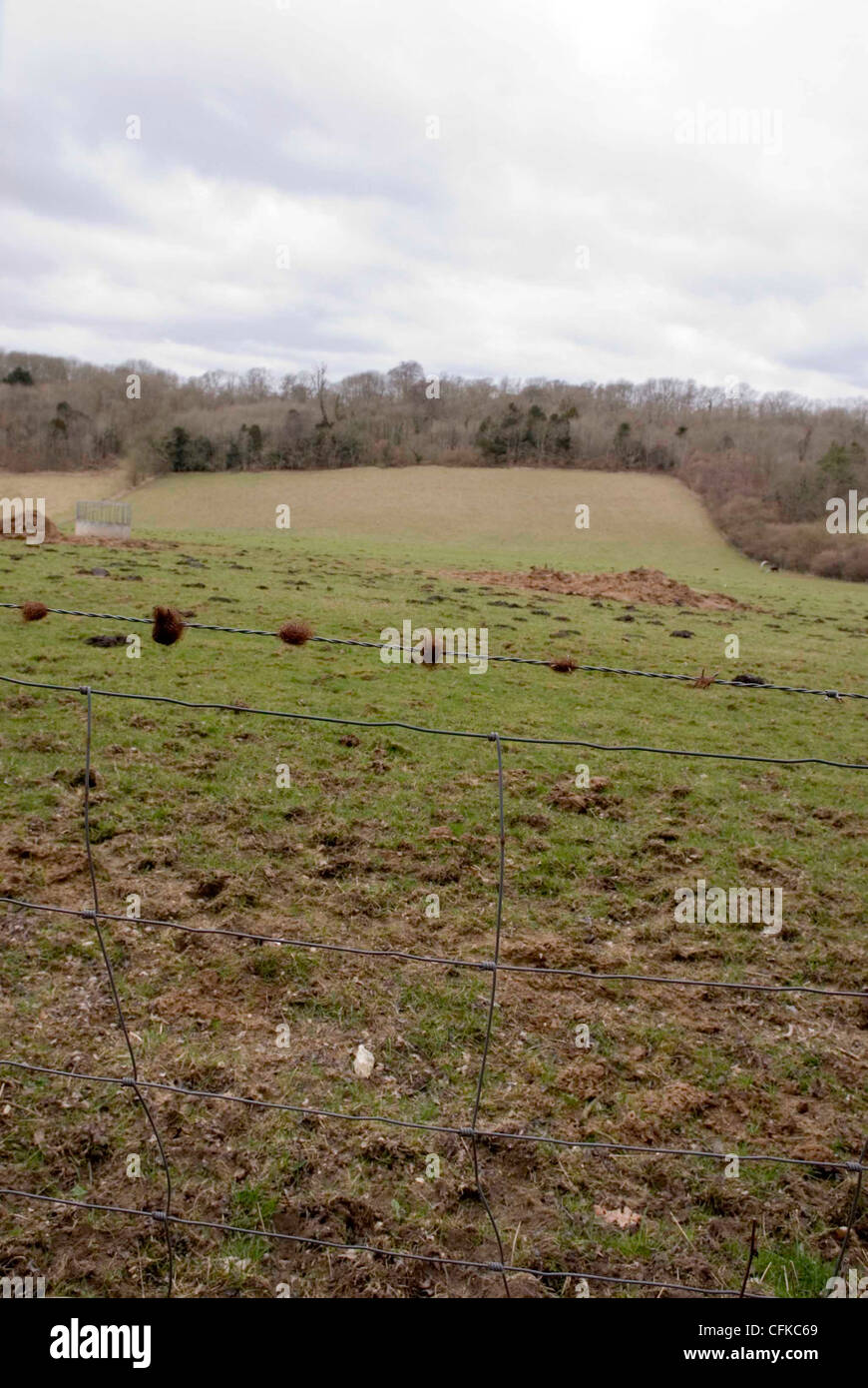 English countryside;English landscape Stock Photo