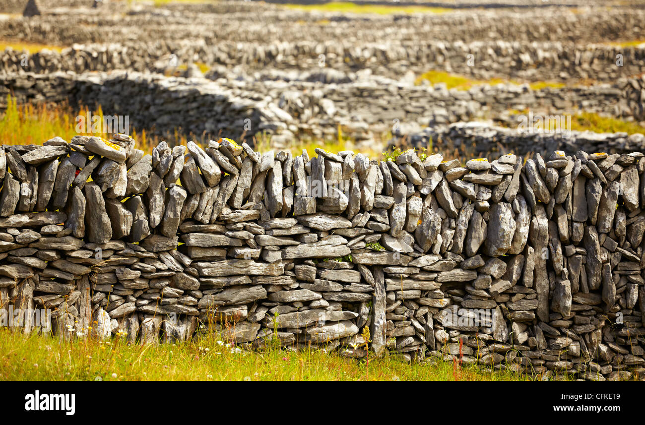 Rows of stone traditional irish fences on Inisheer Island, Ireland. Stock Photo