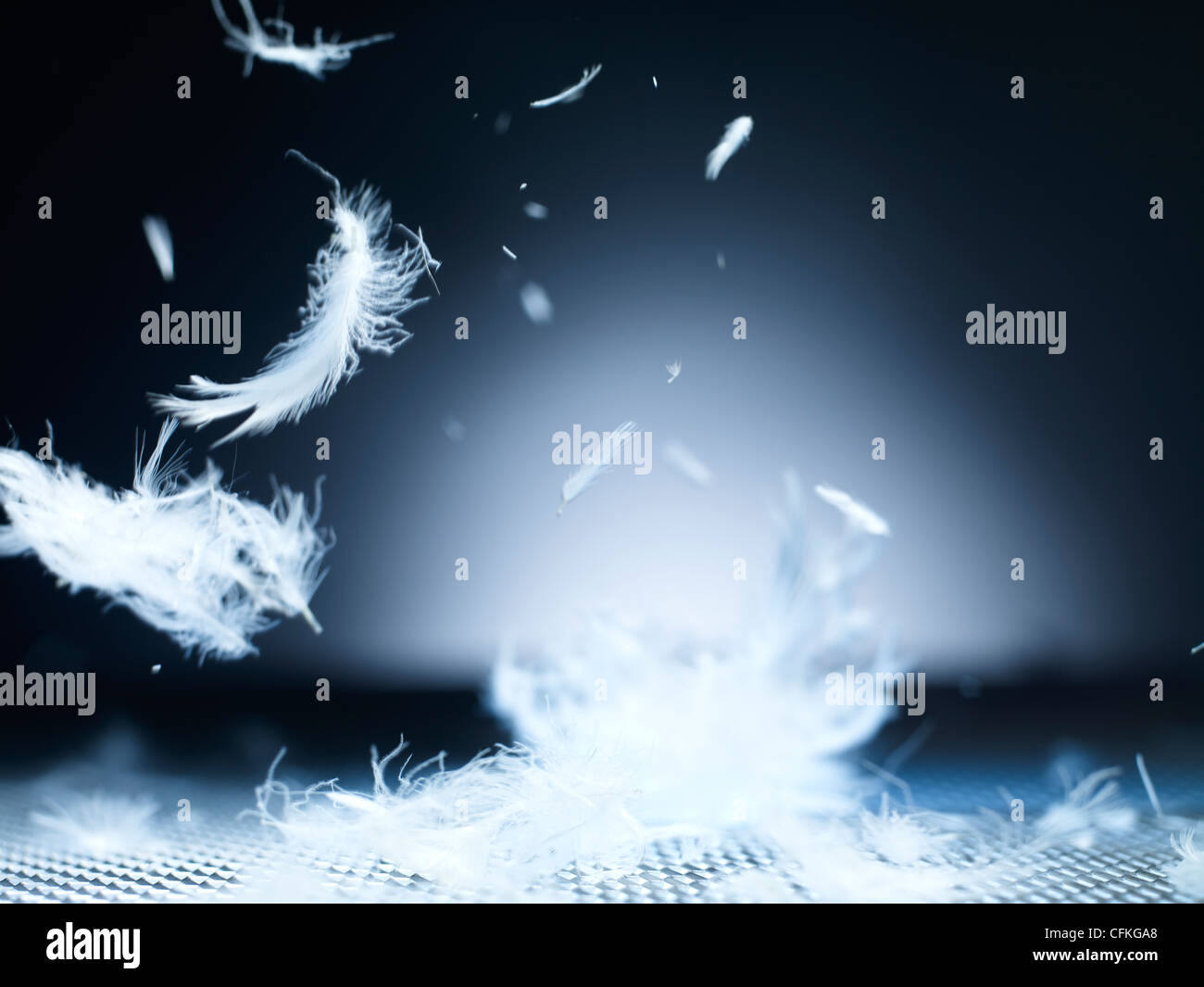 Feathers Falling High Resolution Stock Photography and Images Alamy
