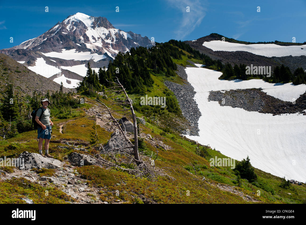 Hiker on the McNeil Ridge of Mt Hood volcano. Glisan Glacier and Ladd Glacier above. Cathedral Ridge (L) Yocum Ridge (R). Mount Hood, Oregon Stock Photo