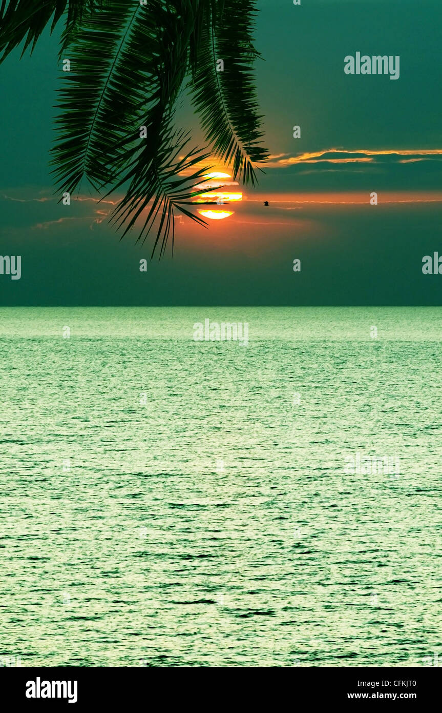 Tropical climate tropics hi-res stock photography and images - Alamy