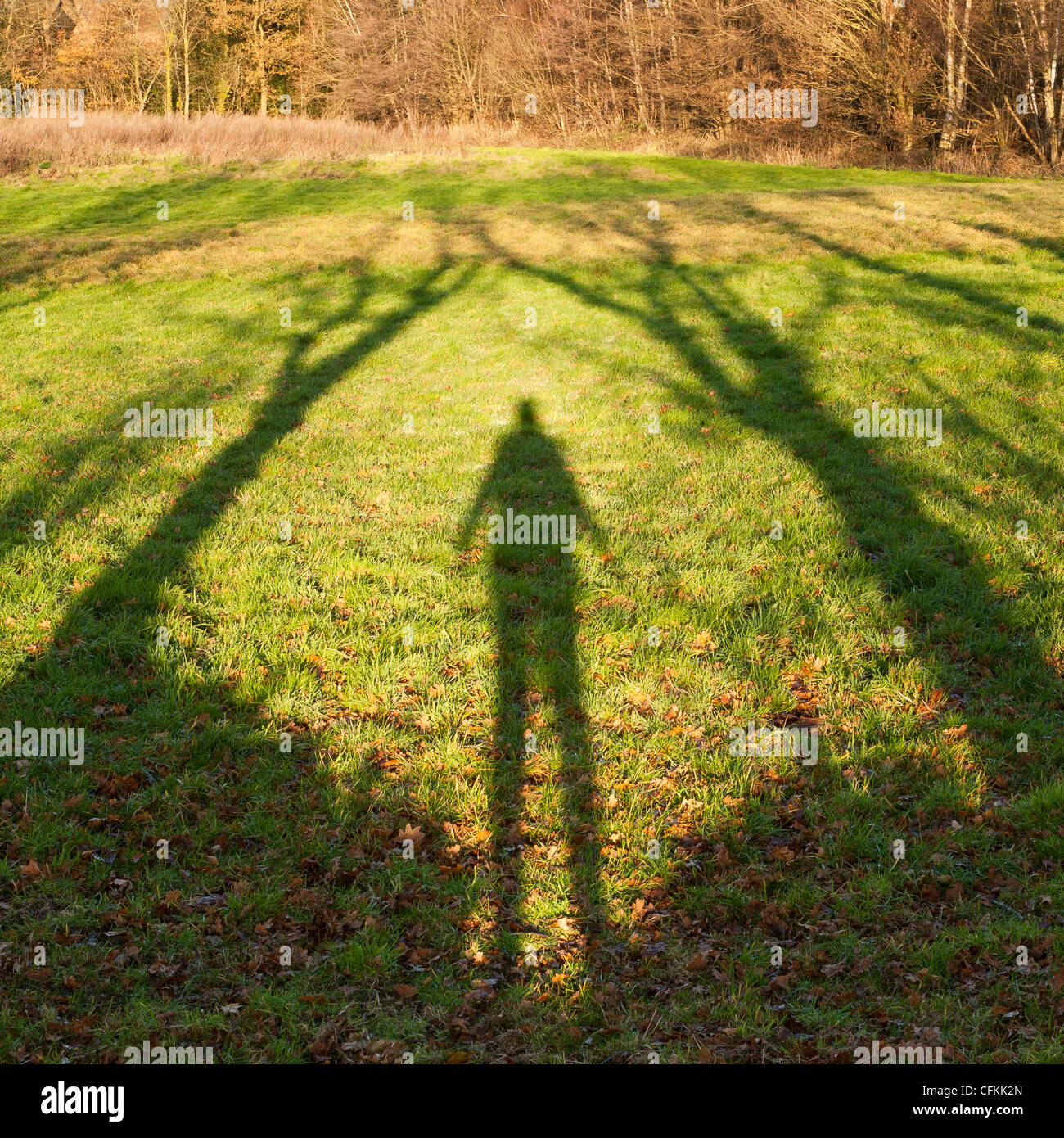 Shadow of a person standing amongst trees in the countryside UK Stock Photo