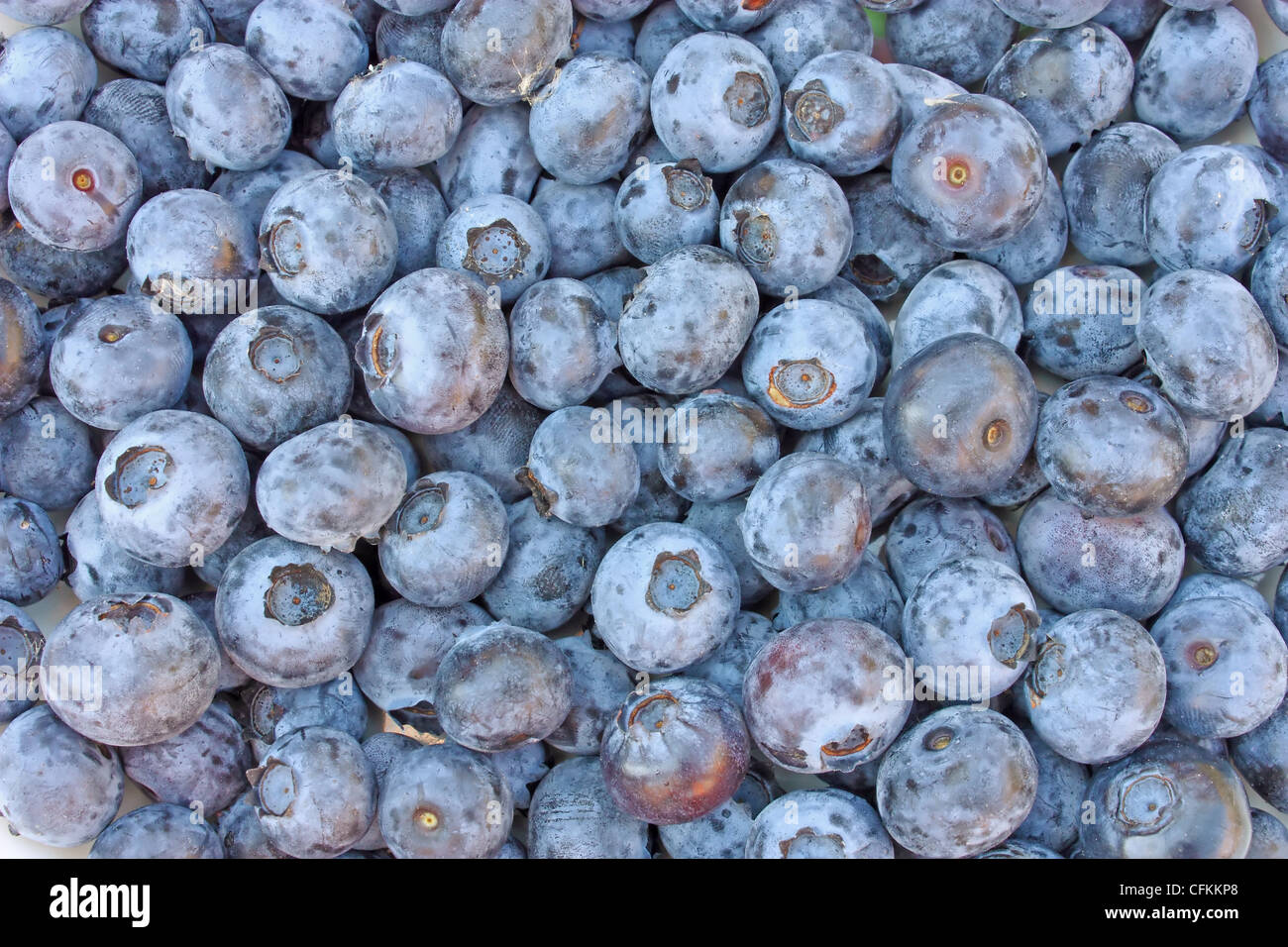 Really Ripe Blueberries Heap of fresh ripe blueberries, background Stock Photo - Alamy