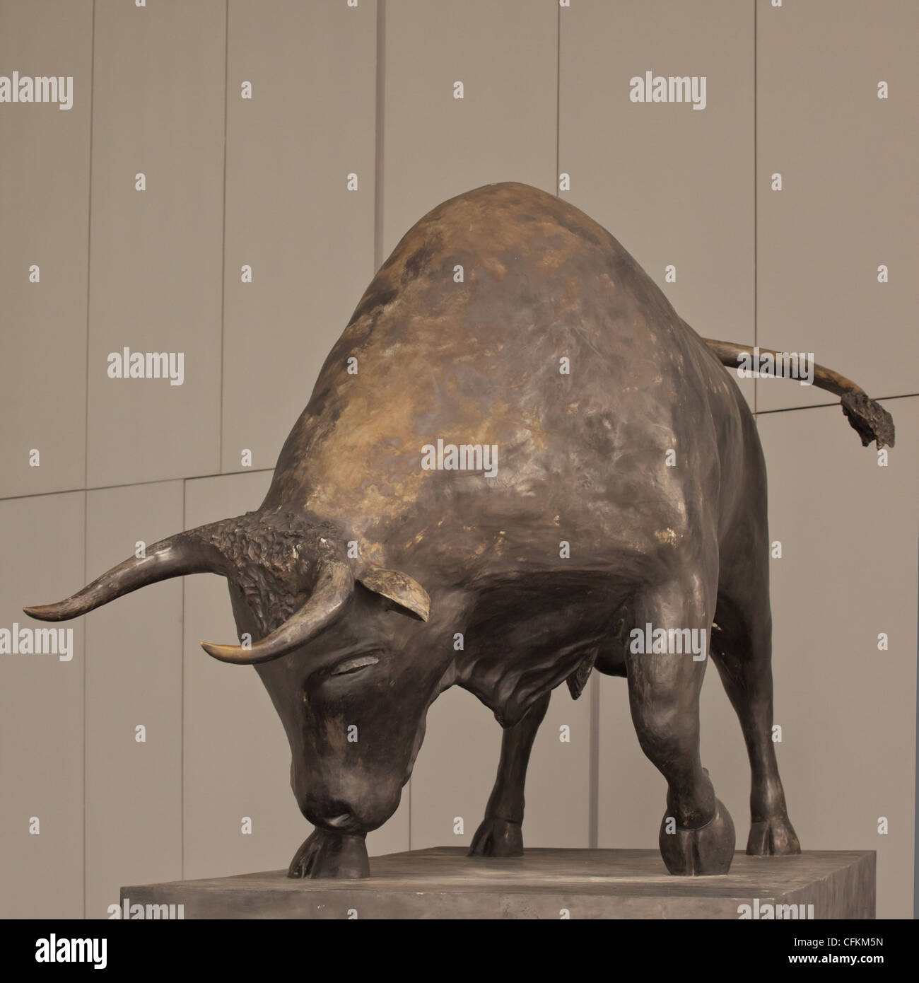 Bull Stock Photo