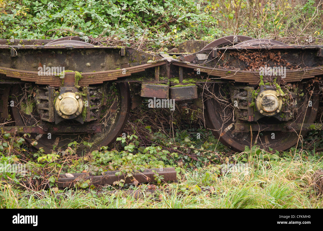 rusted railway wagon bogies in undergrowth Stock Photo