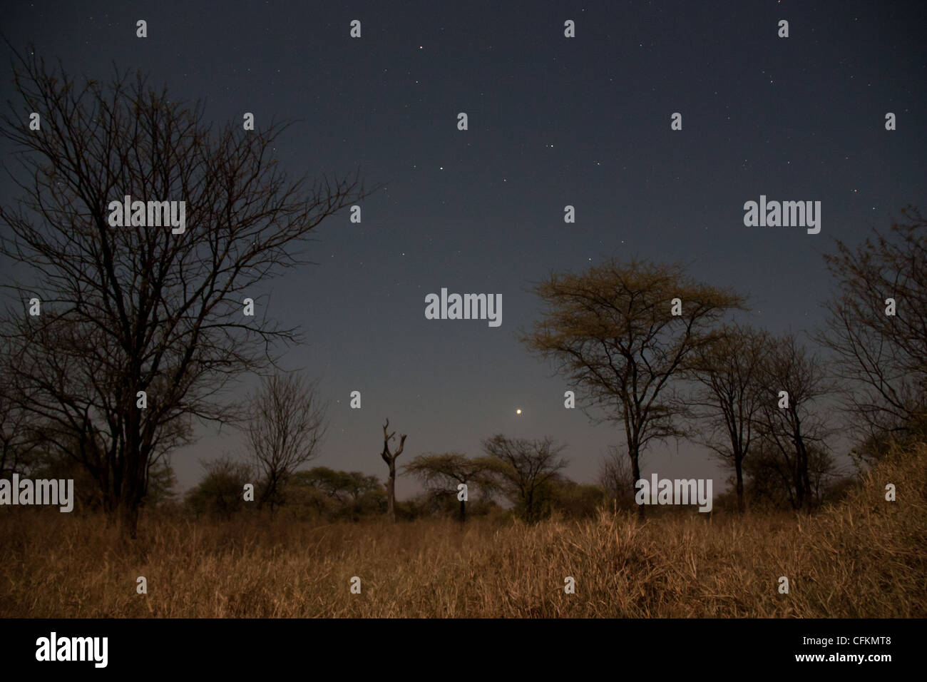 Serengeti at night Stock Photo