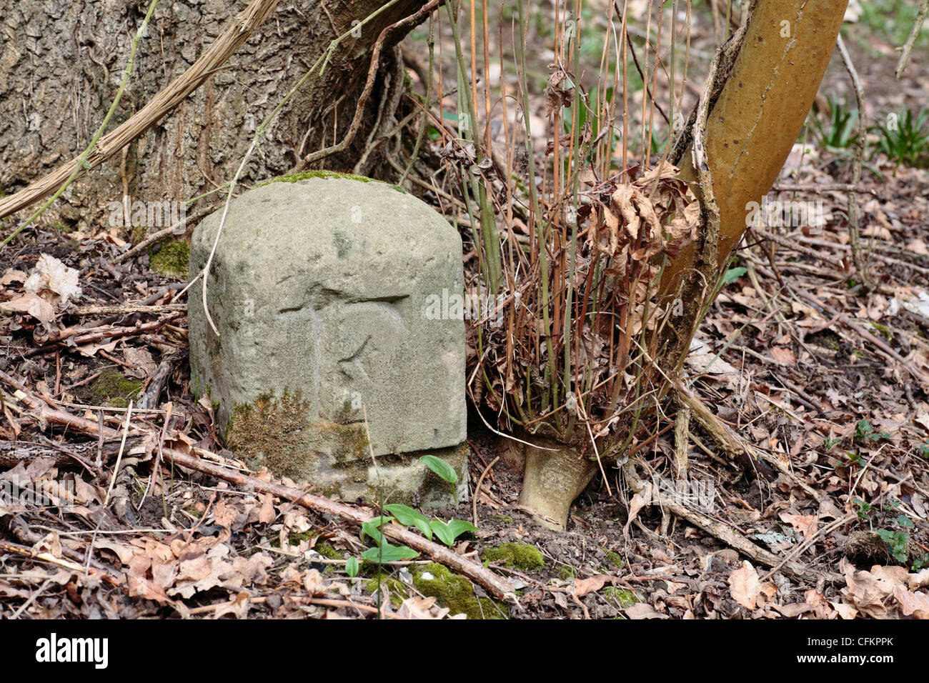 A boundary stone used by the Ordnance survey for marking boundaries on