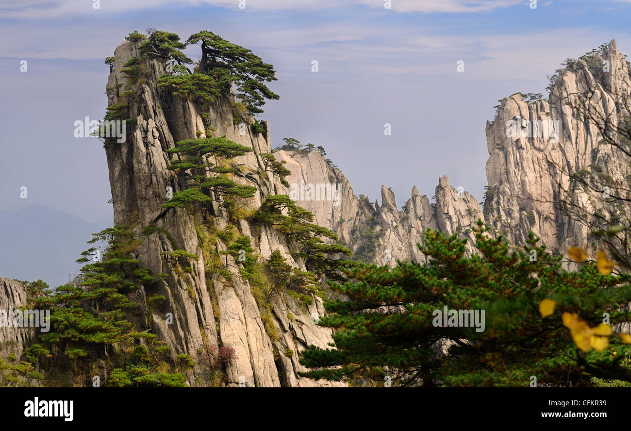 East end of Beginning to Believe Peak with Stalagmite Gang and pine trees at Yellow Mountain Huangshan China Stock Photo