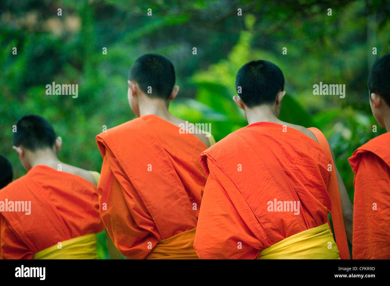 Monks walking in procession during daily morning alms giving ceremony in Luang Prabang, Laos Stock Photo