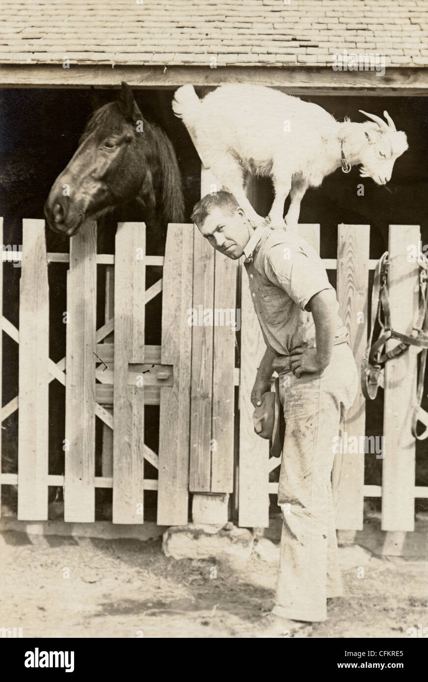 Animal Lover with Goat & Horse Stock Photo