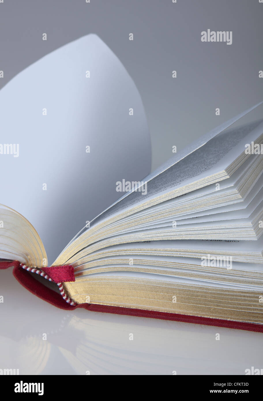 Book, open with plain page Stock Photo
