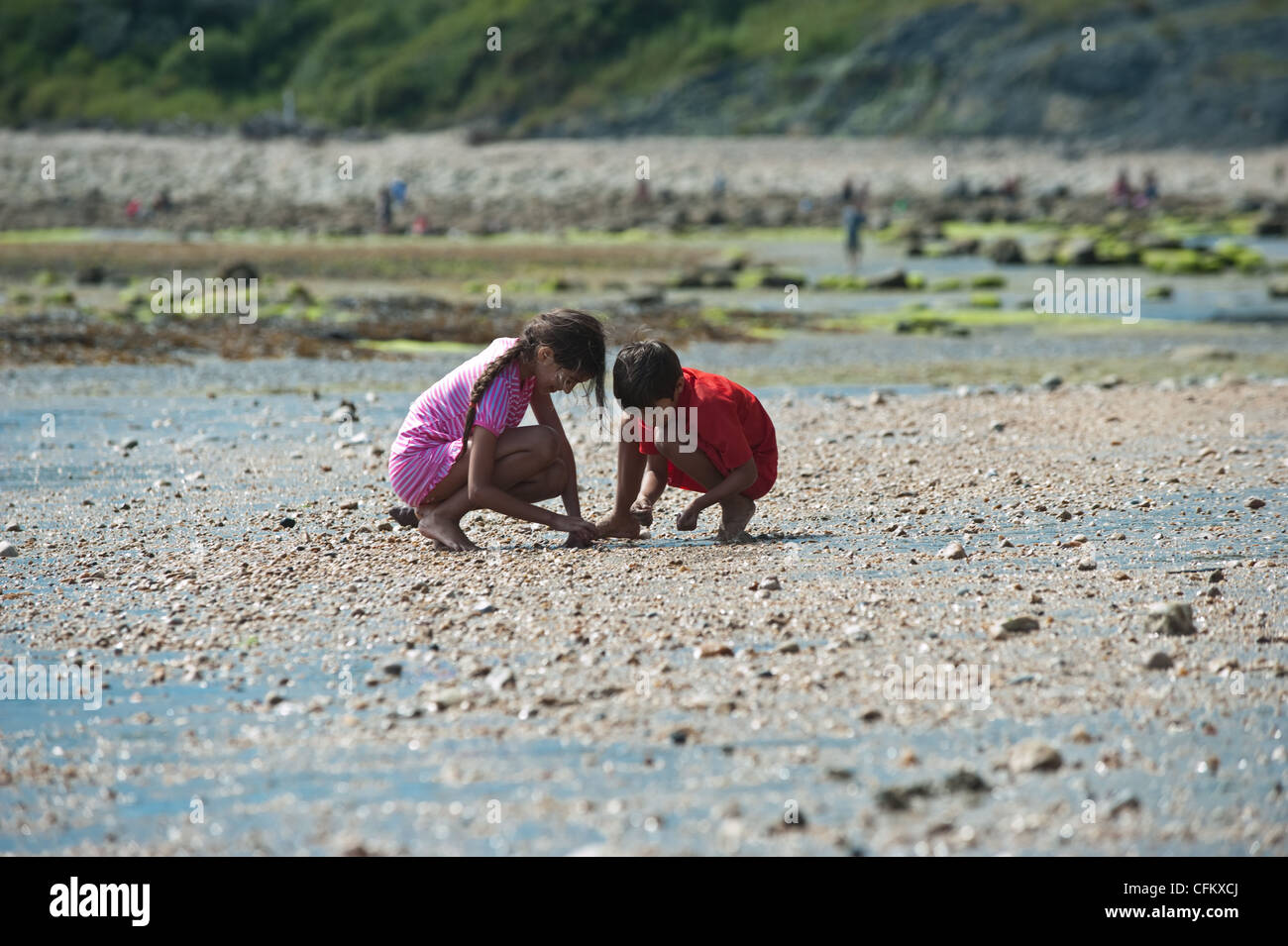 A boy and girl looking for fossils on Charmouth Beach, Dorset Stock Photo
