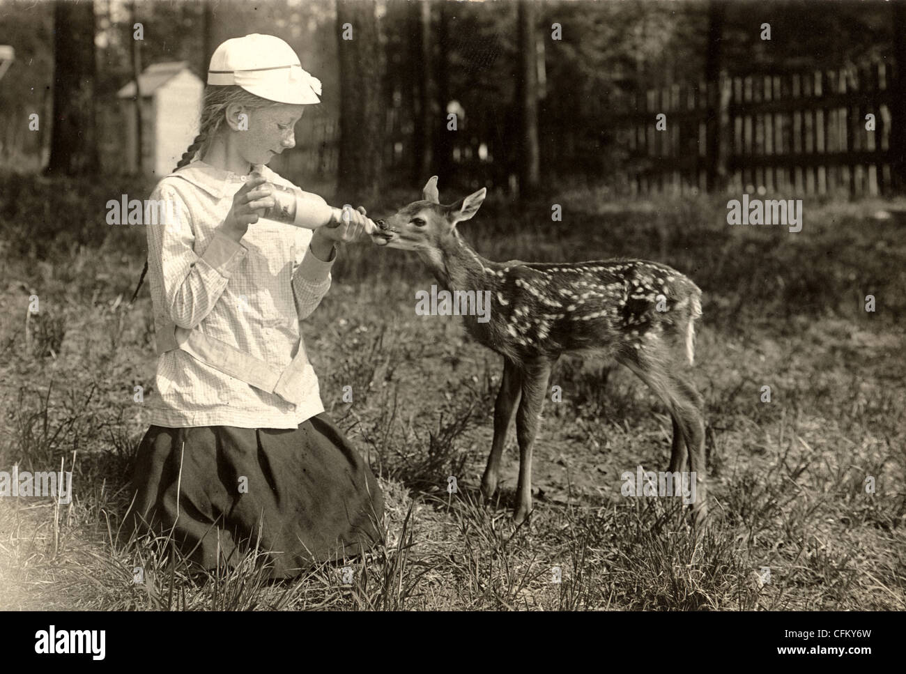 Baby Deer Being Bottle Fed