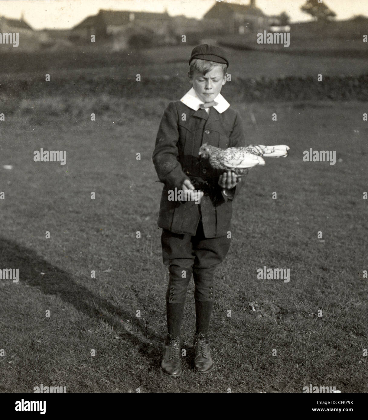 Little Boy Holding Pet Pigeon Outdoors Stock Photo