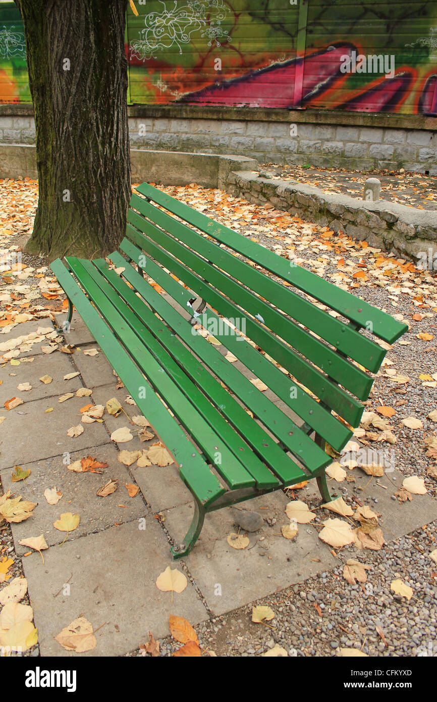 Green wood bench in a park next to a trunk and graffities by autunm weather with lots of yellow leaves on the ground Stock Photo