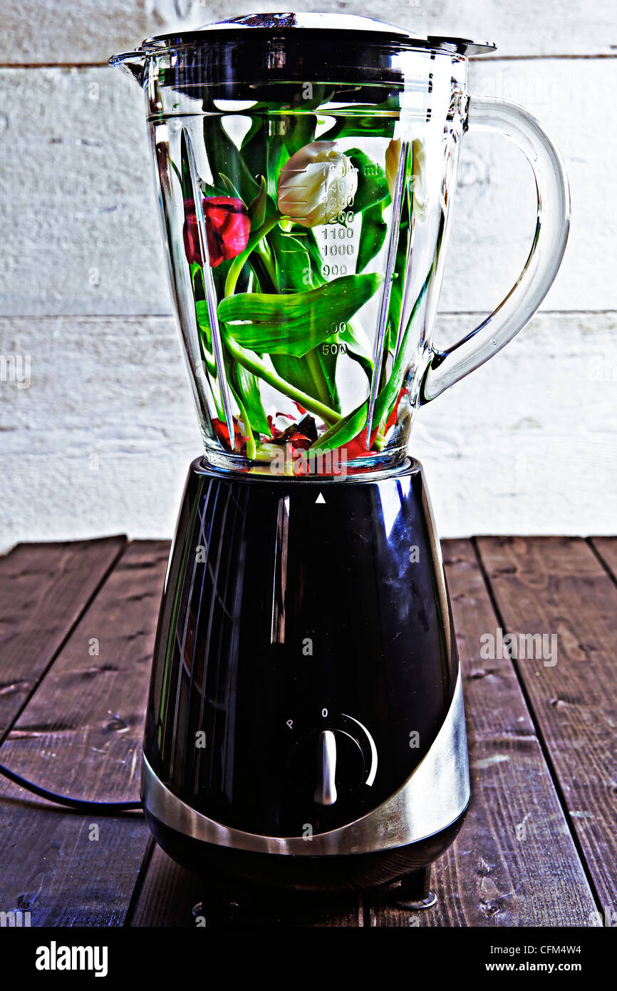 Flowers in a blender Stock Photo Alamy