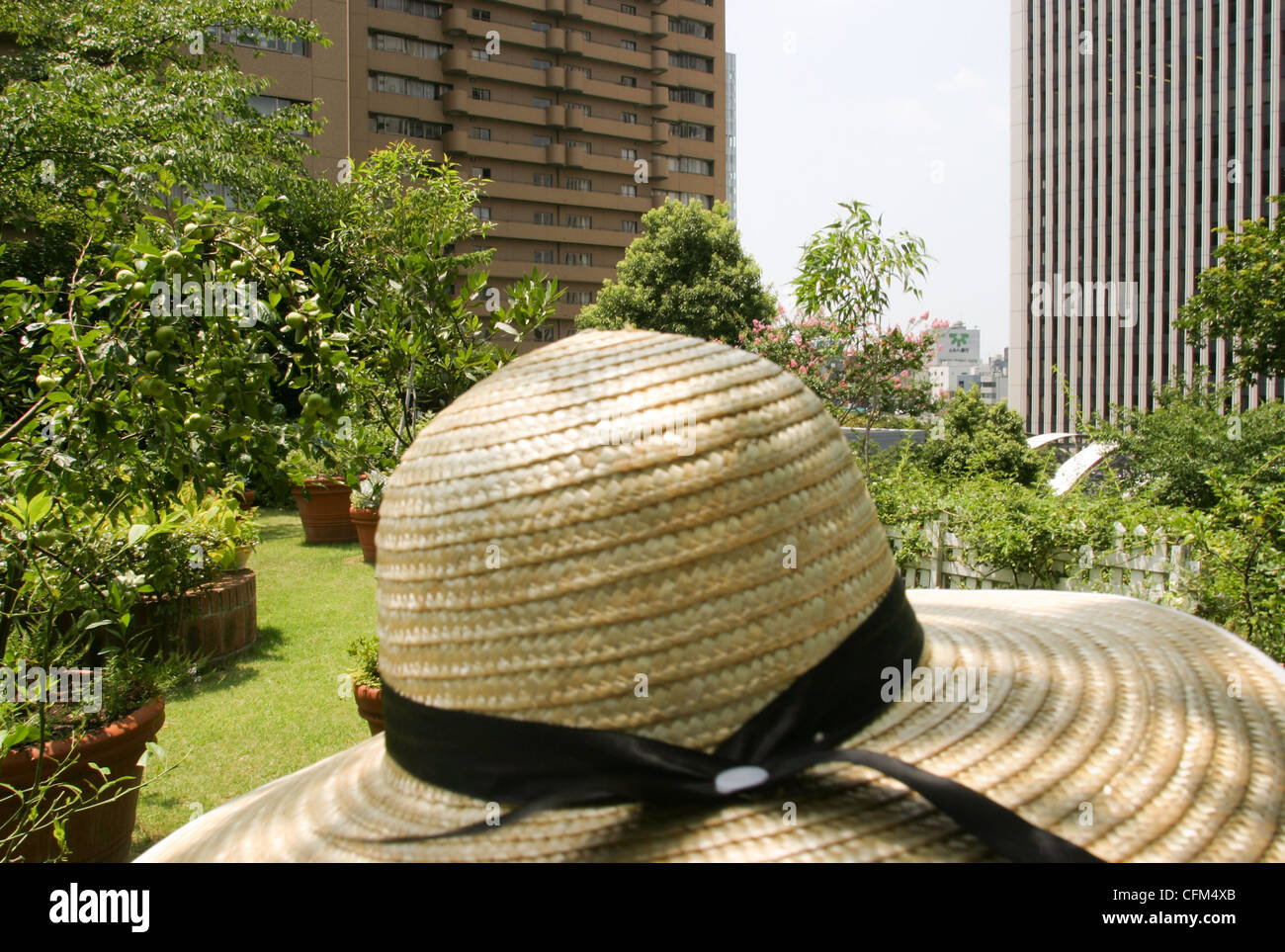 Roof top gardens thought to combat 'heat island effect', the rising of temperatures due to cement buildings. Tokyo, Japan Stock Photo