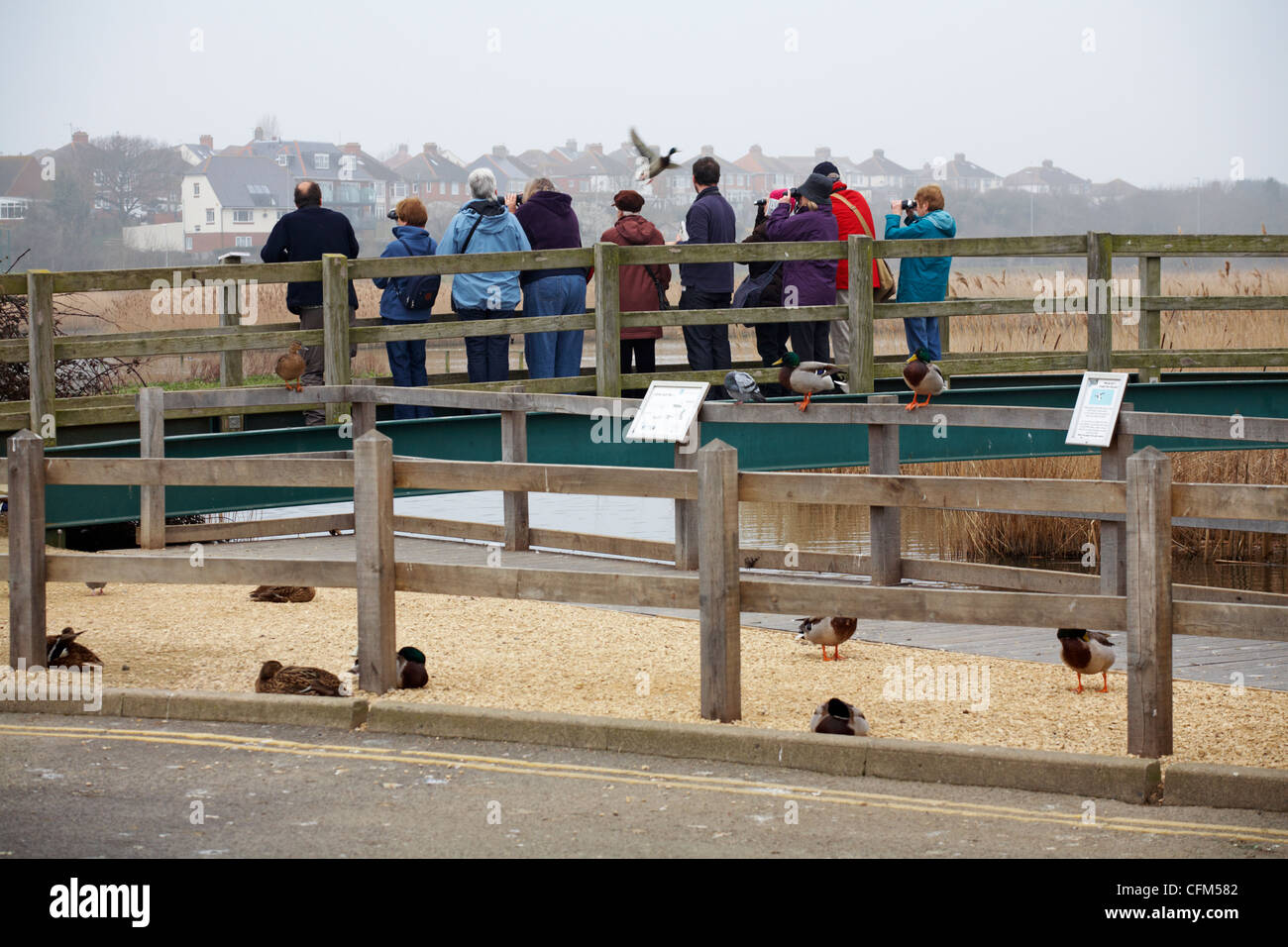 twitchers watching the birds at Radipole Lake, Weymouth in March Stock Photo