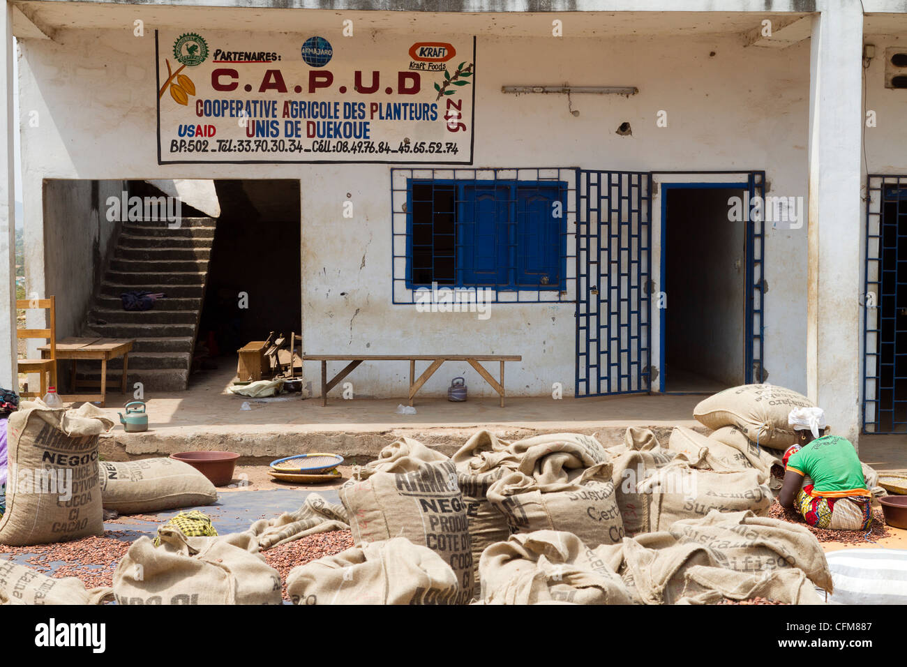 farming cooperative in Dukoue,Ivory Coast ,Cote d'Ivoire,West Africa Stock Photo