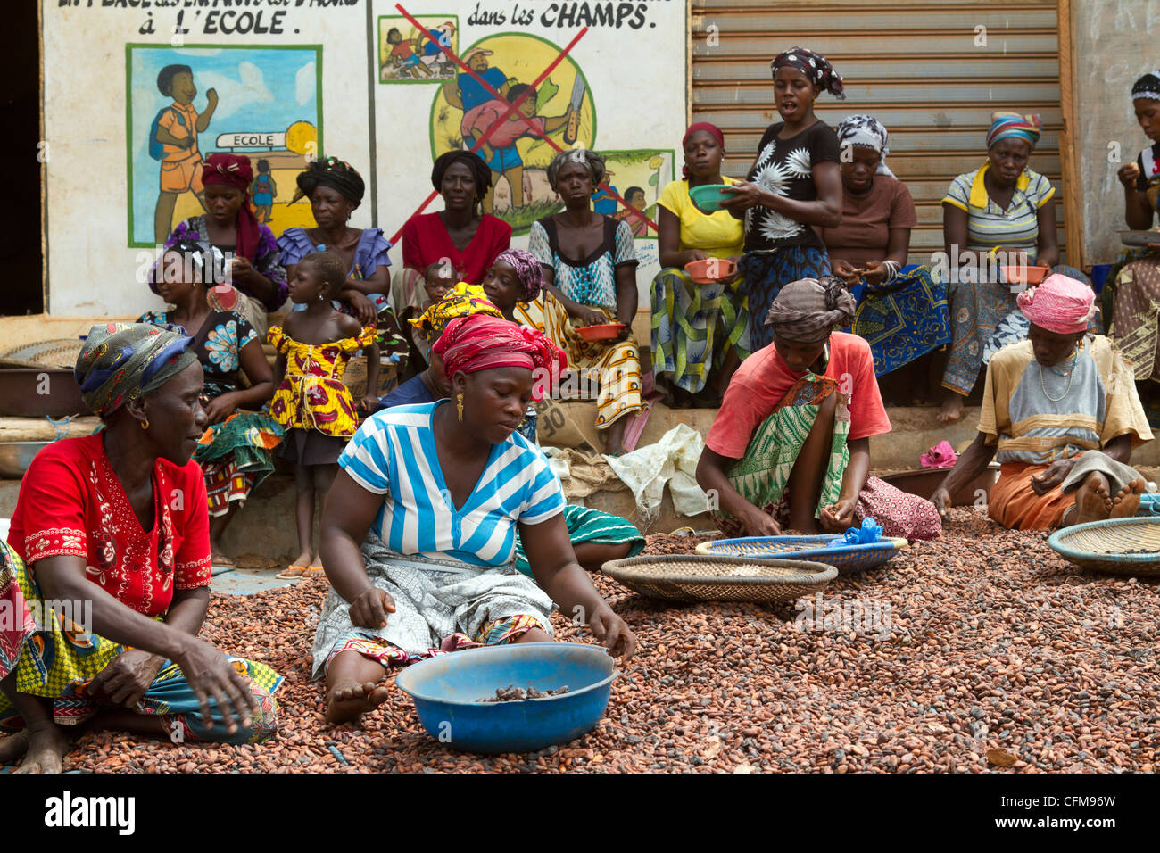 Women sorting  beans of cacao in front of a public notice against the child labor ,Duekoue, Ivory Coast ,Cote d'Ivoire, Stock Photo