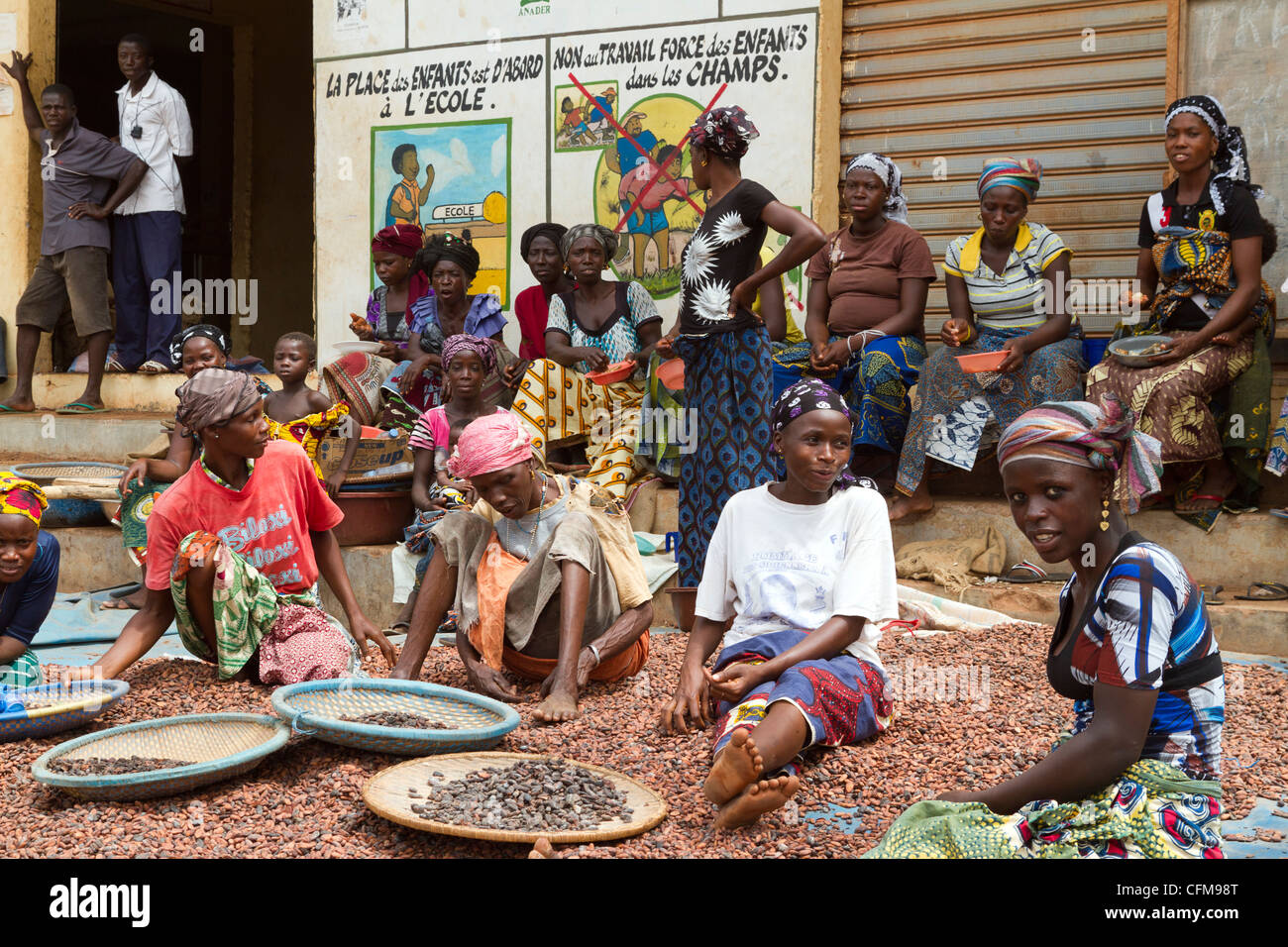 Women sorting  beans of cacao in front of a public notice against the child labor ,Duekoue, Ivory Coast ,Cote d'Ivoire Stock Photo
