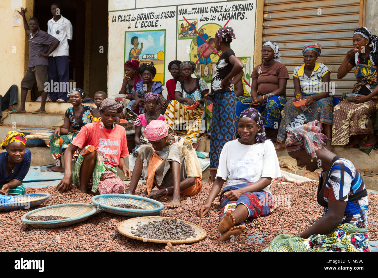 Women sorting  beans of cacao in front of a public notice against the child labor ,Duekoue, Ivory Coast ,Cote d'Ivoire Stock Photo