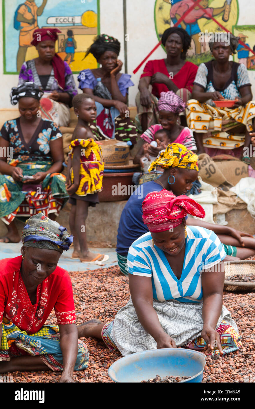 Women sorting  beans of cacao in front of a public notice against the child labor ,Duekoue Ivory Coast Cote d'Ivoire,West Africa Stock Photo