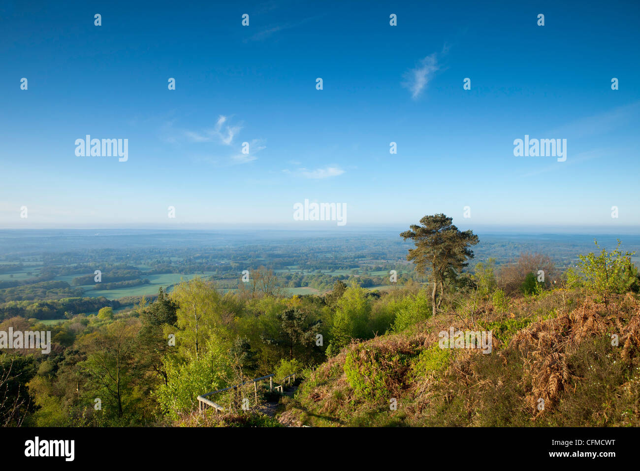 Leith Hill, Surrey, England, United Kingdom, Europe Stock Photo