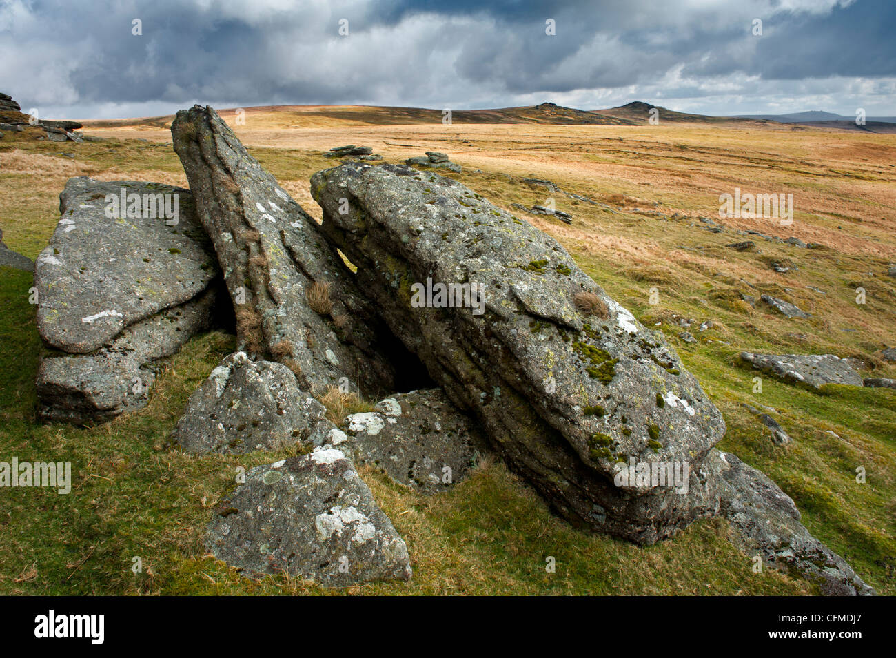 Arms Tor, side of Great Links Tor, Dartmoor, Devon Stock Photo