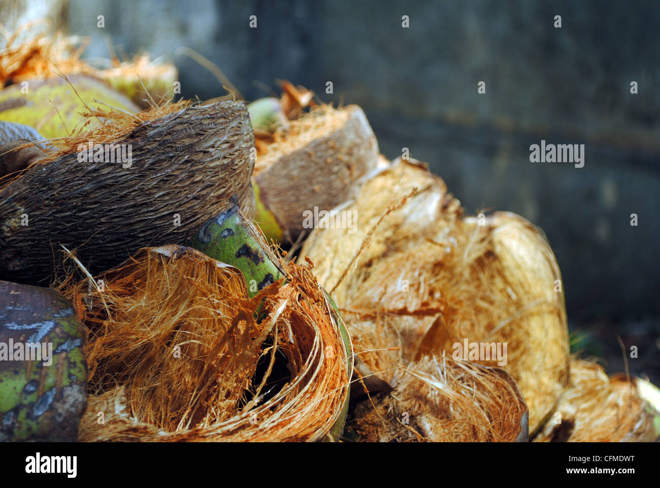 coconut husk Stock Photo