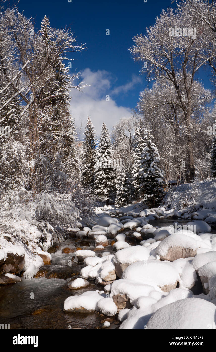 USA, Colorado, Winter landscape Stock Photo - Alamy