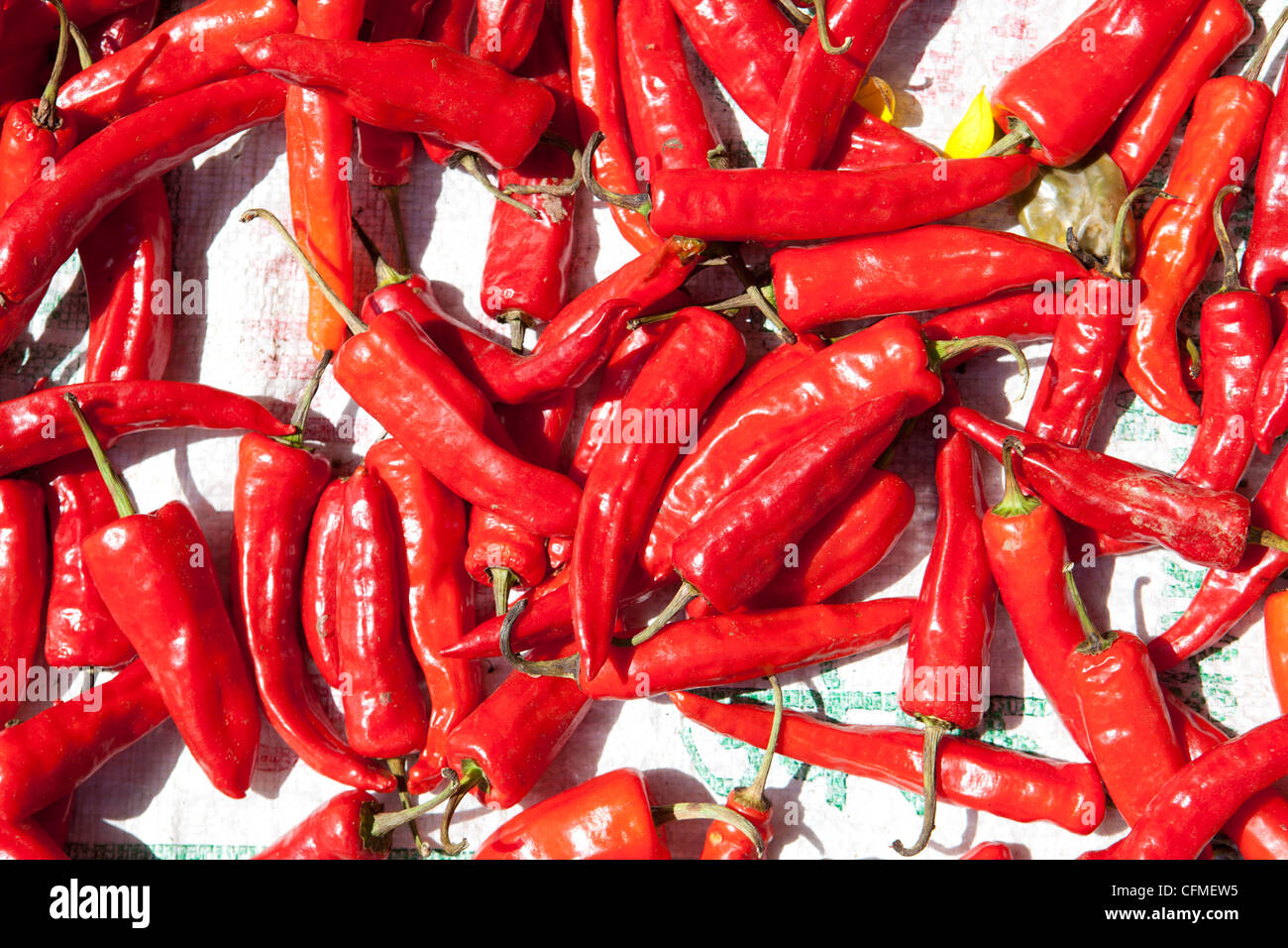 Red chillis drying in the sun Punakha Valley, Bhutan, Asia Stock Photo