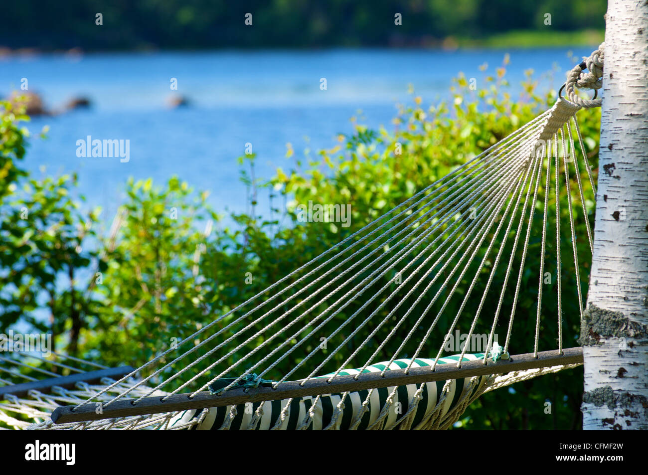 Hammock between two trees Stock Photo Alamy