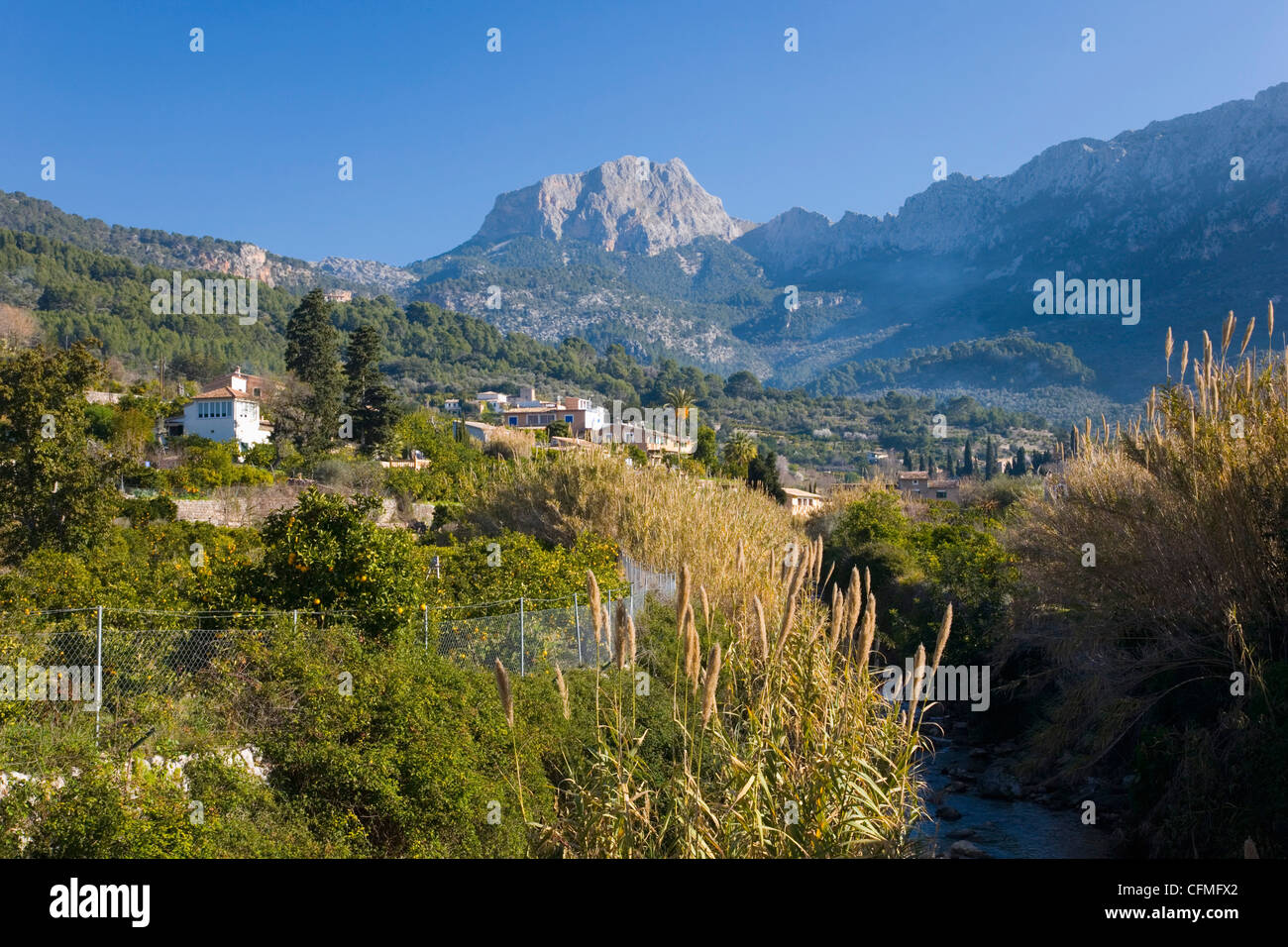 View up fertile valley to Puig Major, the island's highest peak, Soller, Mallorca, Balearic Islands, Spain, Europe Stock Photo