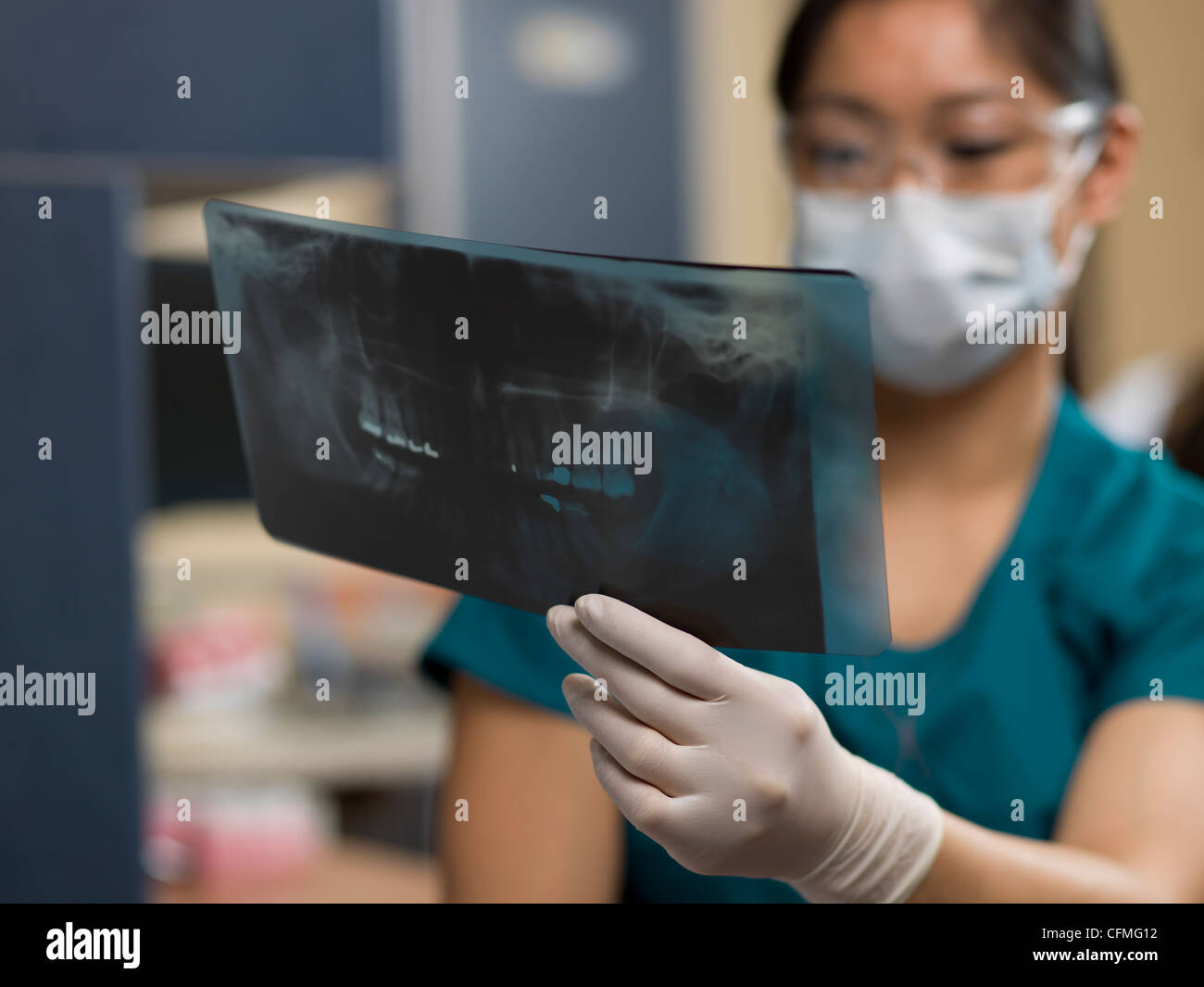 Canada, Alberta, Dentist checking xray image Stock Photo Alamy