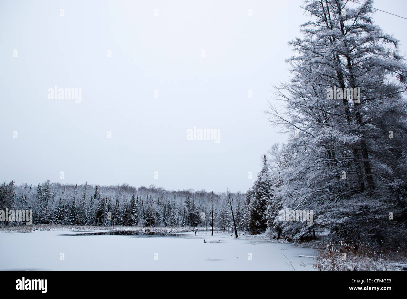 A winter wonderland in Gilmour, Ontario, Canada. Stock Photo