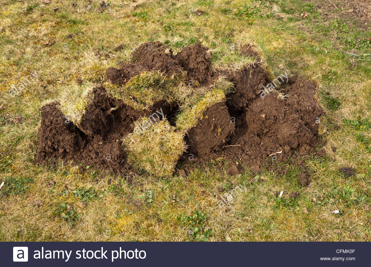 Grass Clumps High Resolution Stock Photography and Images - Alamy