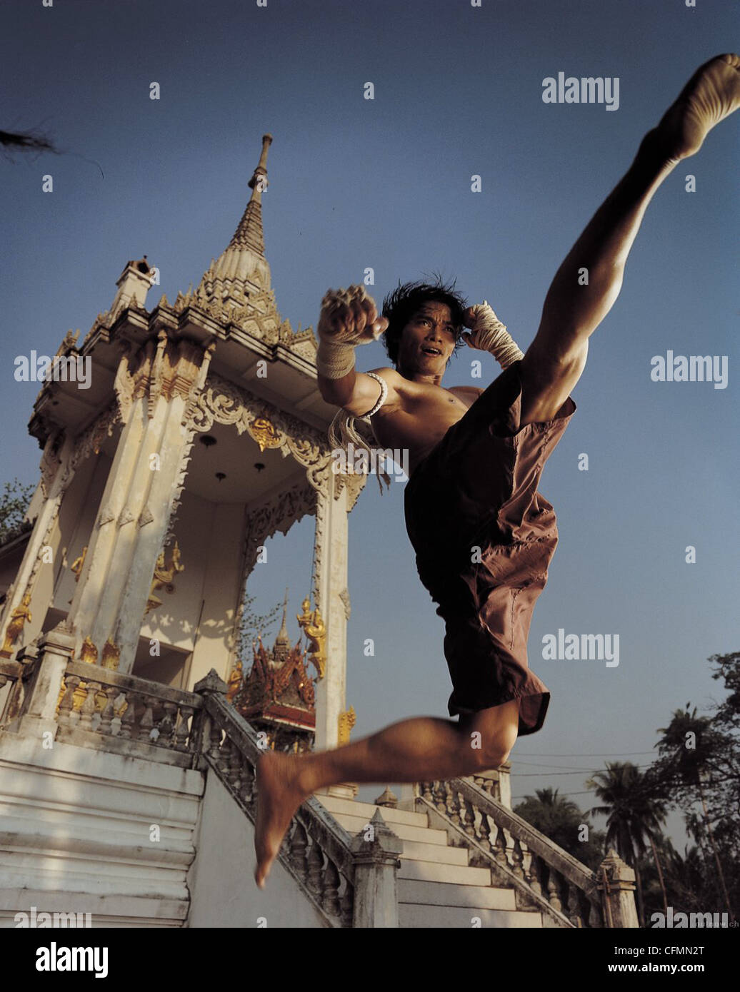 Tony Jaa Kick
