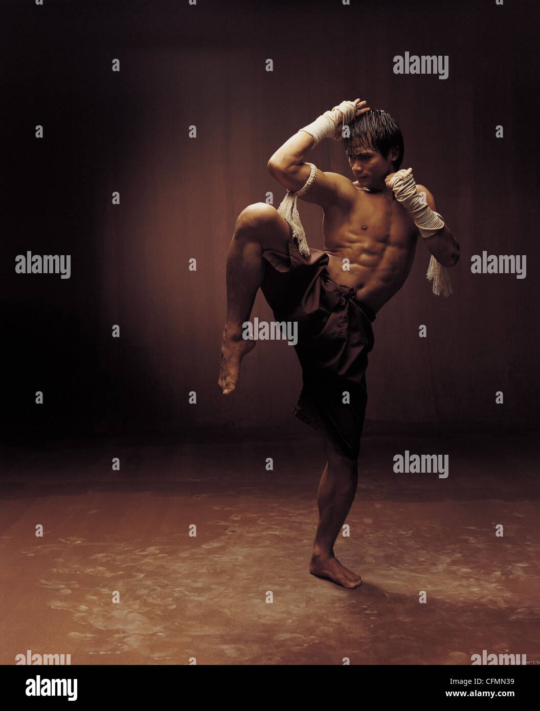 Prachya pinkaew dir martial arts karate knee kick tony jaa hires stock photography and images