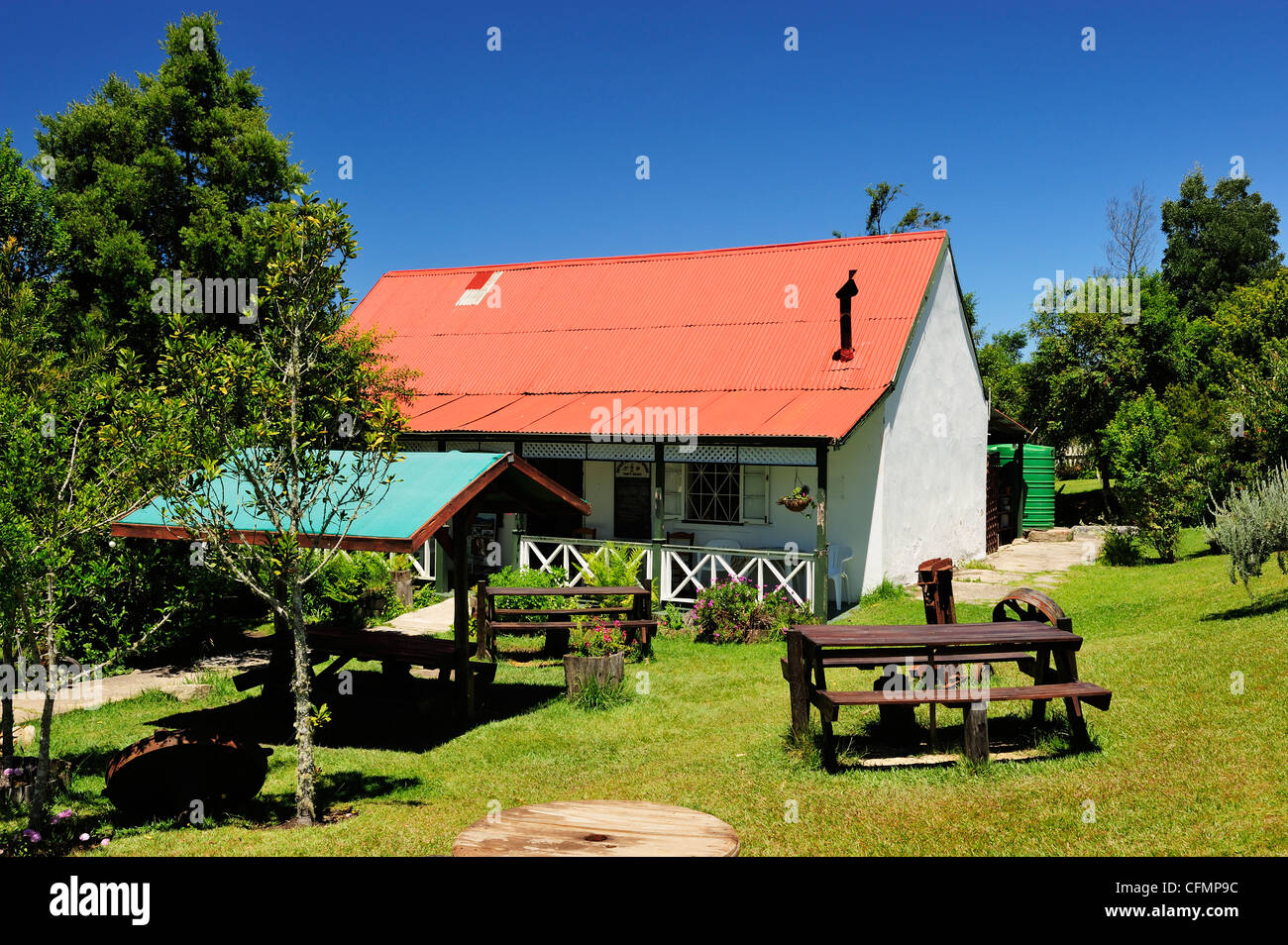 Millwood tea garden near Knysna on the Garden Route, Western Cape, South Africa Stock Photo
