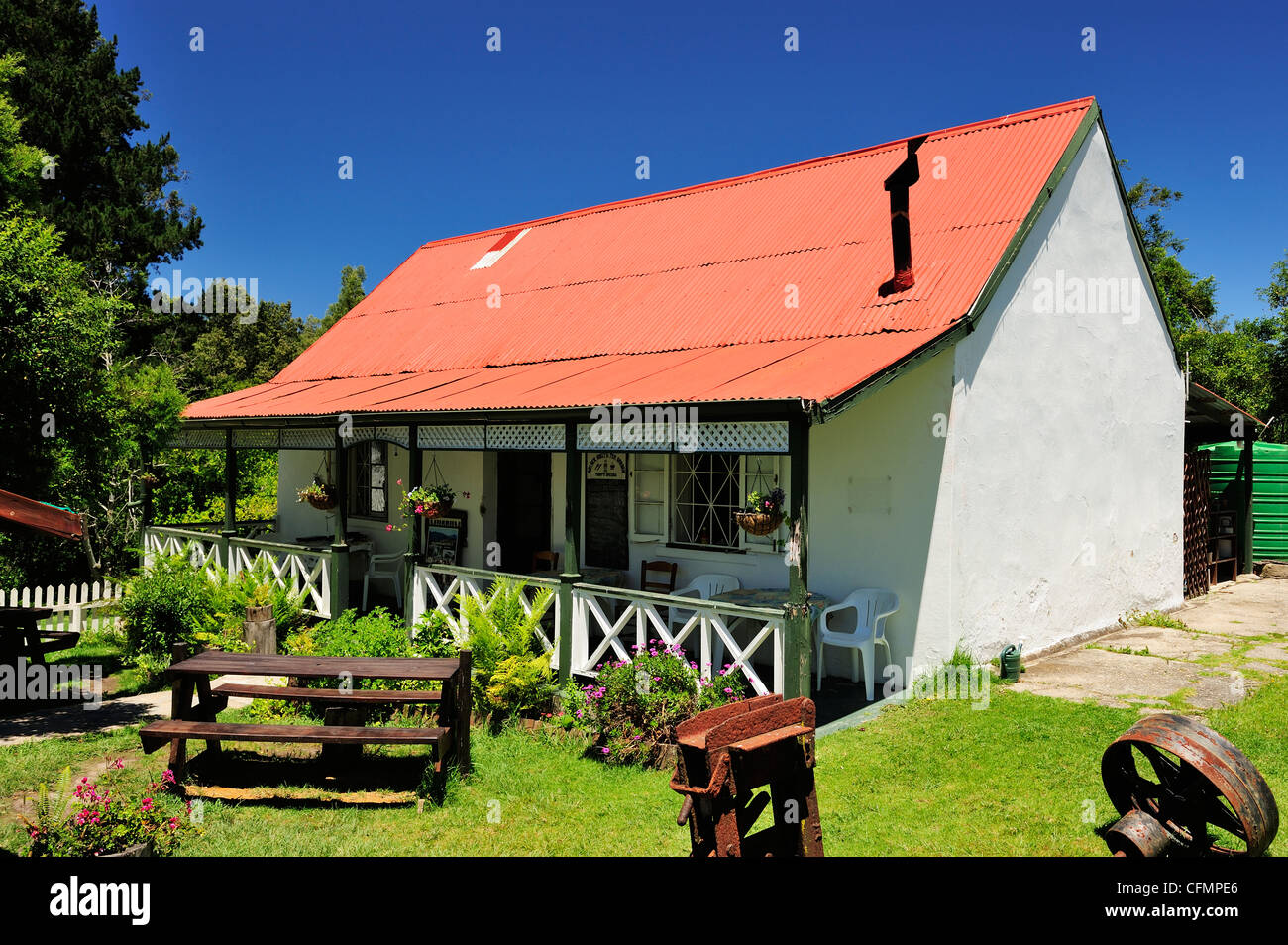 Millwood tea garden near Knysna on the Garden Route, Western Cape, South Africa Stock Photo