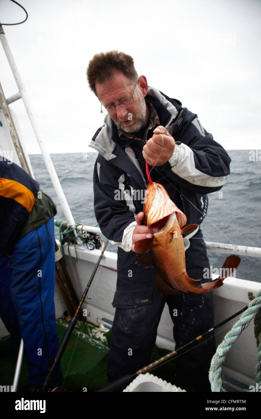Anglers during a race in Norway  2010. Fish. Cod Sportfiskare Norge Stock Photo