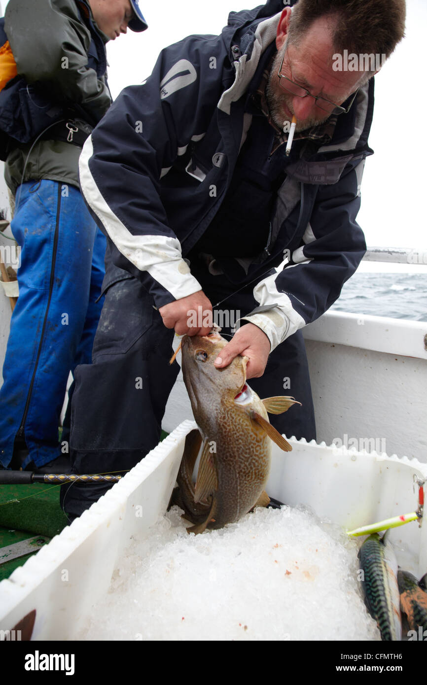 Anglers during a race in Norway  2010.Cod. Sportfiskare Norge Stock Photo
