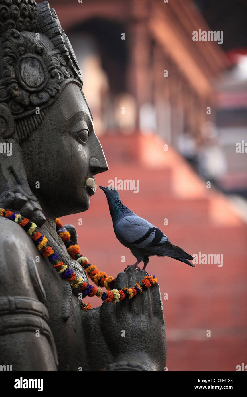 Garuda statue and feeding pigeon at Durbar Square in Kathmandu Nepal Stock Photo